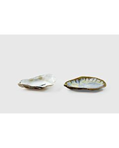 OYSTER SOAPDISH